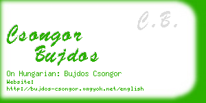 csongor bujdos business card